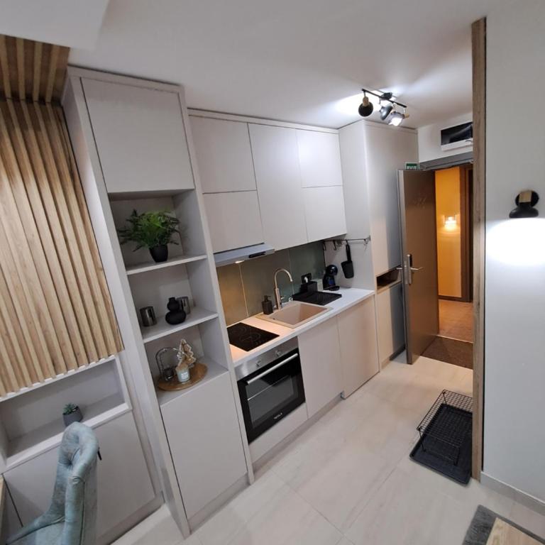 Lux apartmani Dunja Kopaonik Čardaci - GREEN - Studio with Garden View - 25
