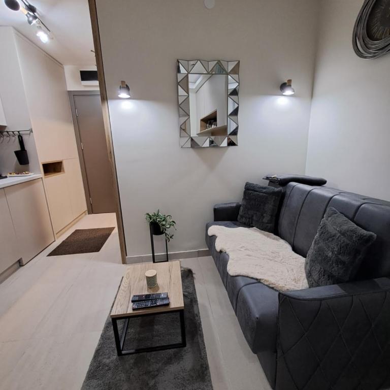 Lux apartmani Dunja Kopaonik Čardaci - GREEN - Studio with Garden View - 15