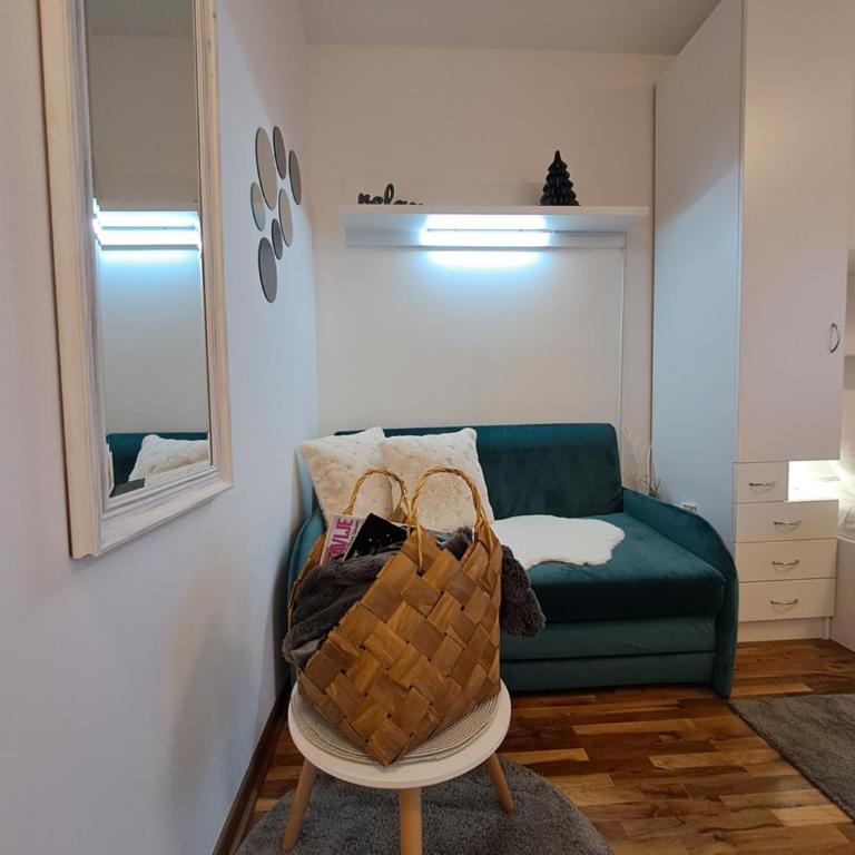 Lux apartmani Dunja Kopaonik Čardaci - WHITE - Apartman sa Pogledom na Planinu - 30