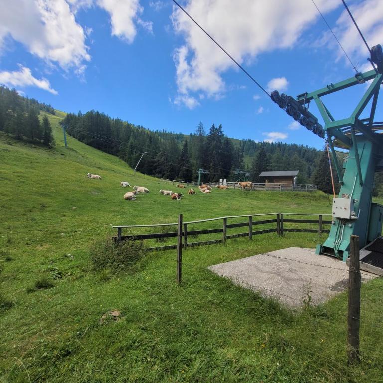 Appartement Liisa Bad Kleinkirchheim - Apartment mit 2 Schlafzimmern - 23