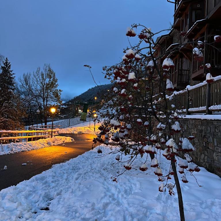 S Valle de incles- Grandvalira free parking - Apartamento de 3 dormitorios - 29