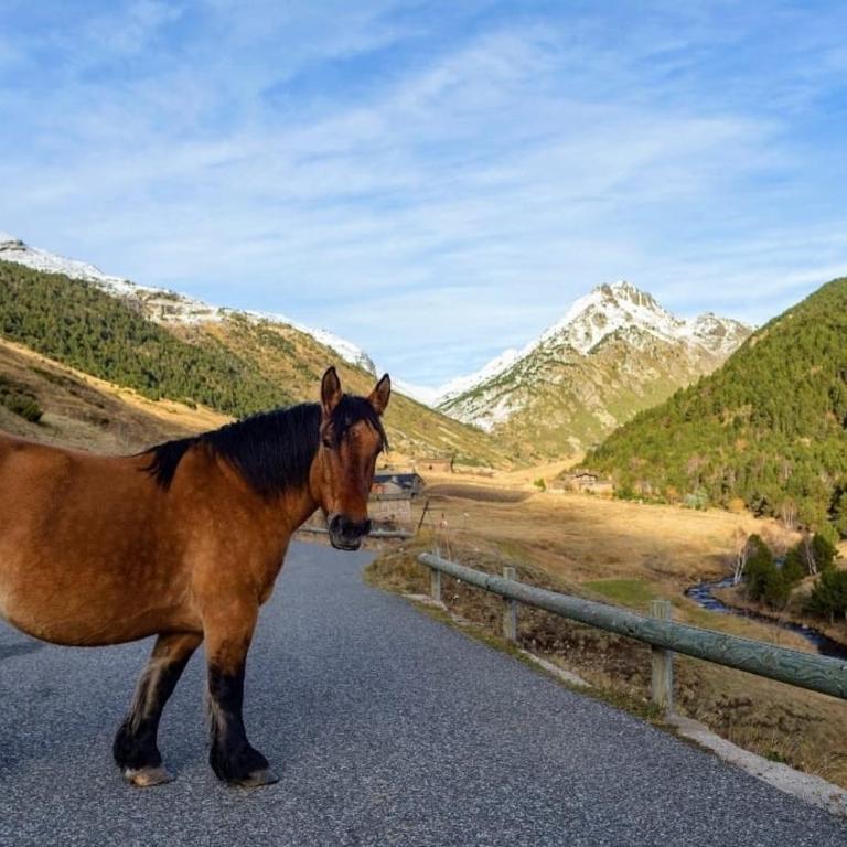 S Valle de incles- Grandvalira free parking - Apartamento de 3 dormitorios - 26