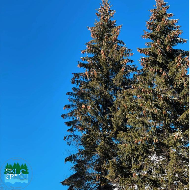 SKI & SPA Apartment in ZONED - Apartman sa 1 Spavaćom Sobom - 81