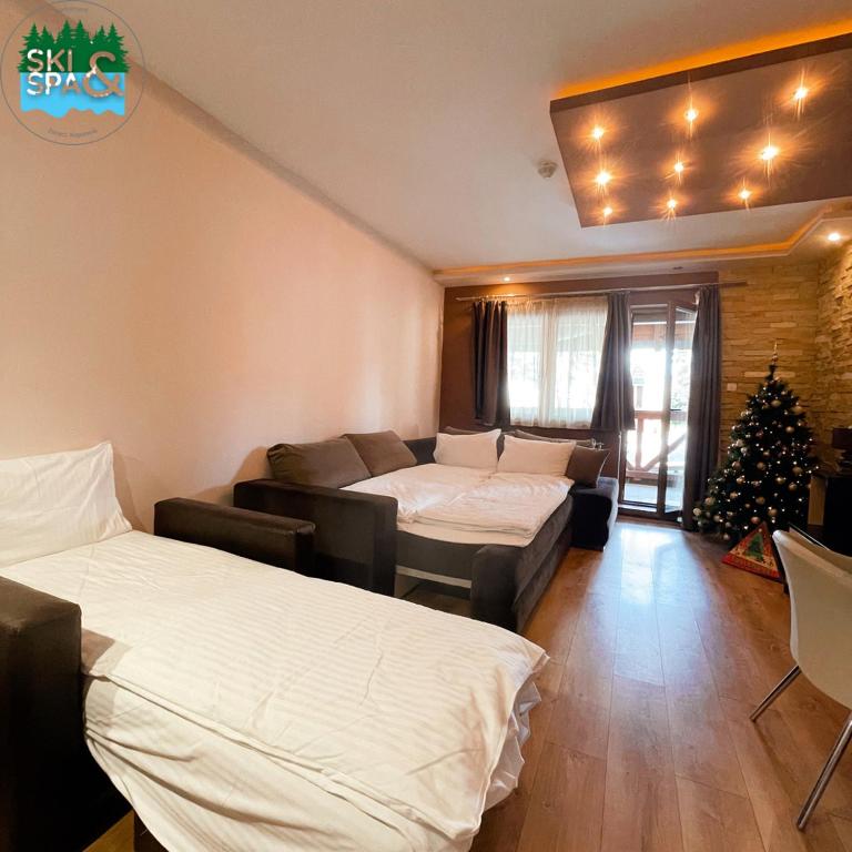 SKI & SPA Apartment in ZONED - One-Bedroom Apartment - 9
