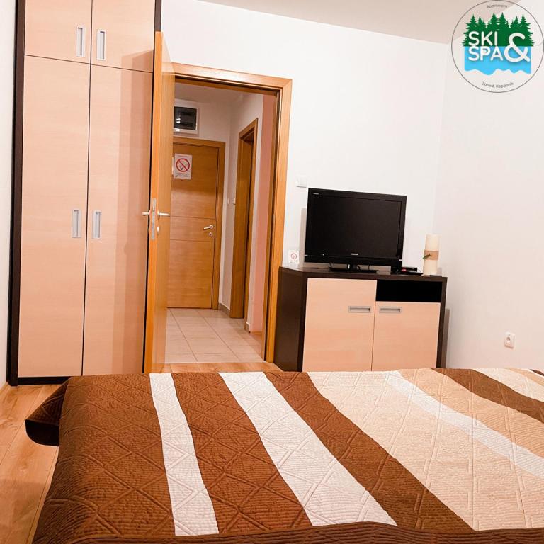 SKI & SPA Apartment in ZONED - One-Bedroom Apartment - 24