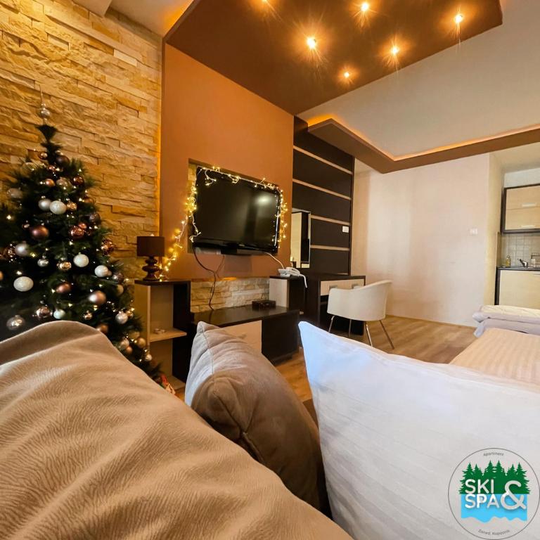 SKI & SPA Apartment in ZONED - One-Bedroom Apartment - 8
