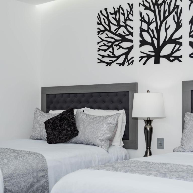 Dreams Apartments 2 Loft a 9 minutos de la playa - One-Bedroom Apartment - 18
