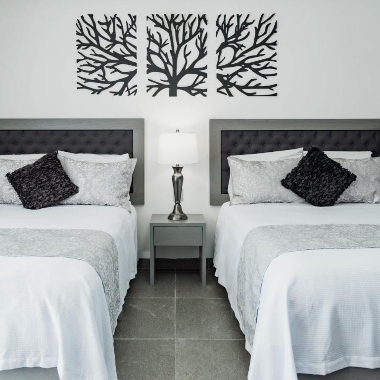 Dreams Apartments 2 Loft a 9 minutos de la playa - One-Bedroom Apartment - 1