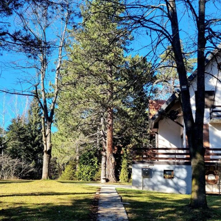 Vila Lucic Zlatibor - Apartment - 18
