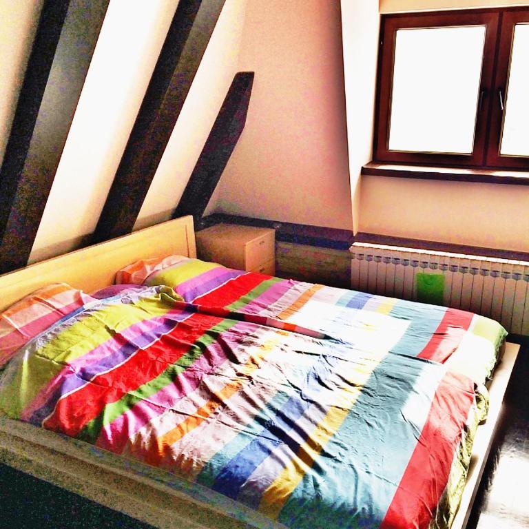 Apartment 111 at Zoned Apart Hotel & Spa - Apartman 111 u hotelu Zoned - Apartment - 2