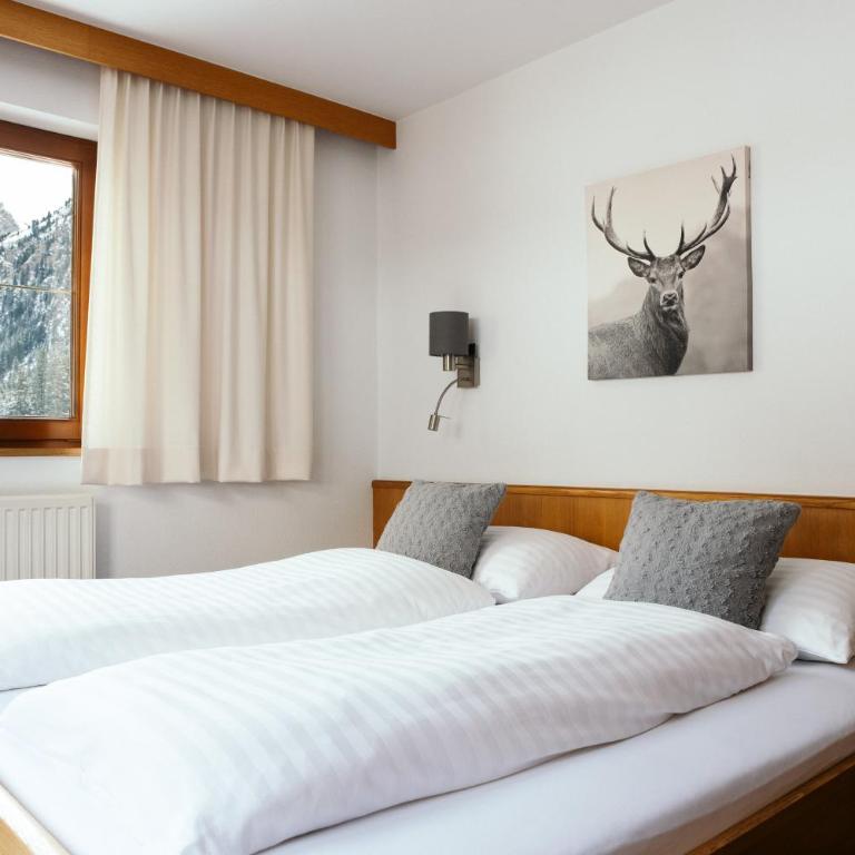 Pension Steinkogel - Apartment mit 2 Schlafzimmern - 4