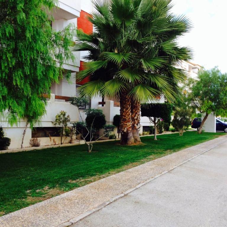 Jumilla III - Apartamento con balcón - 34