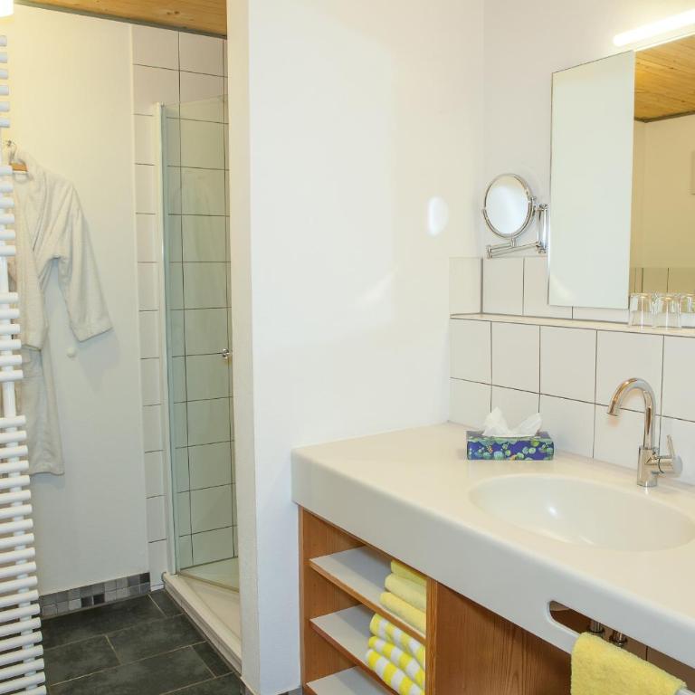 Haus Geier - Appartamento con 1 Camera da Letto - 17