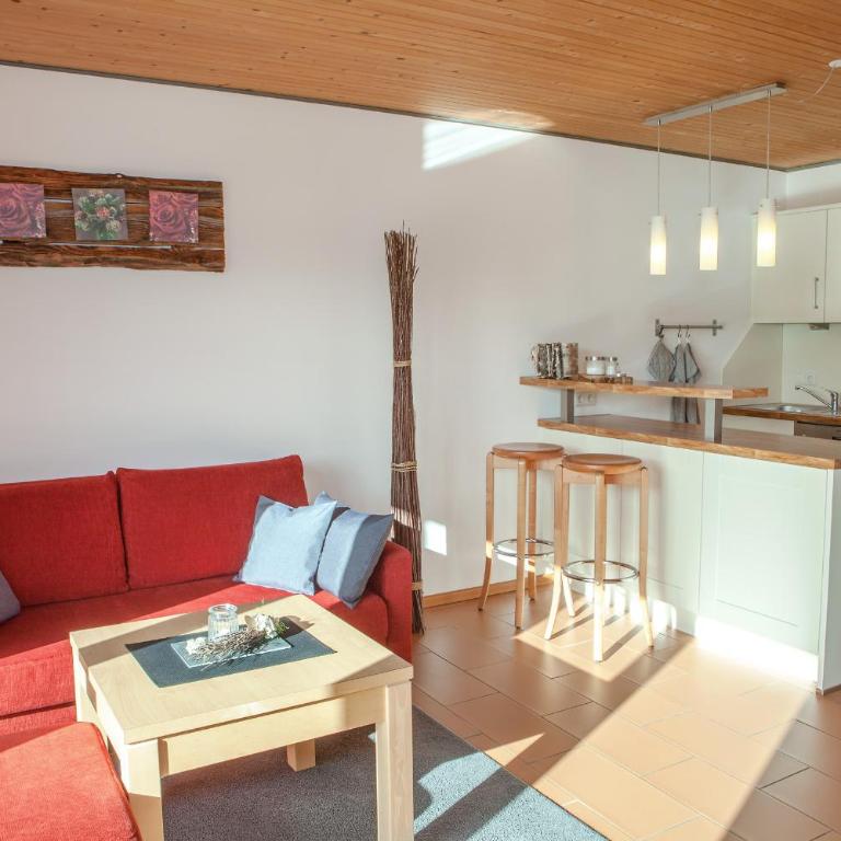 Haus Geier - Appartamento con 1 Camera da Letto - 1