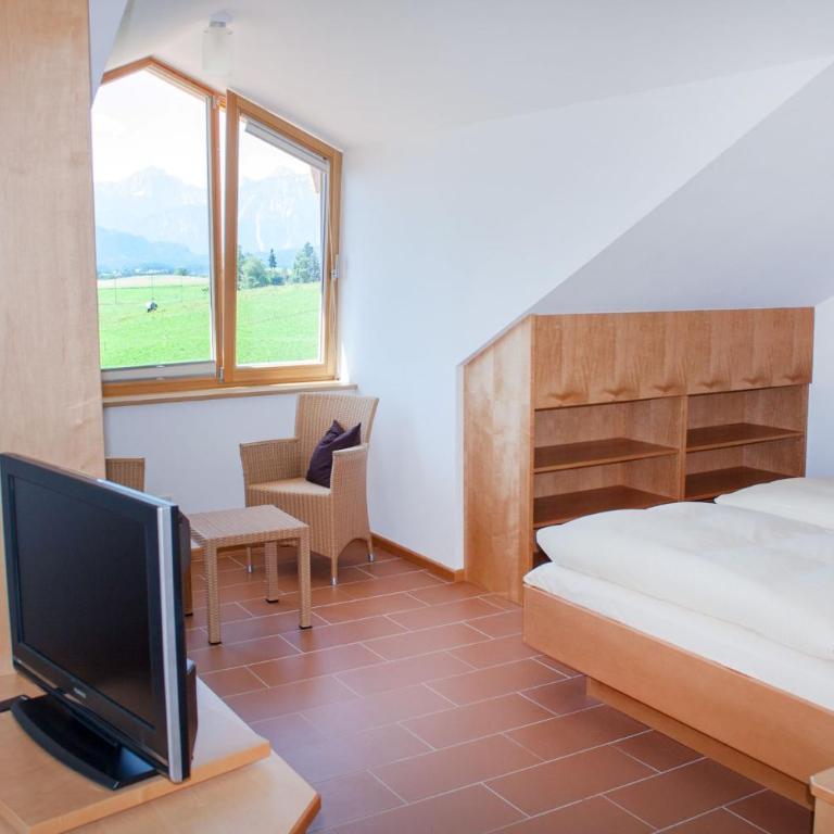 Haus Geier - Monolocale con Balcone - 7