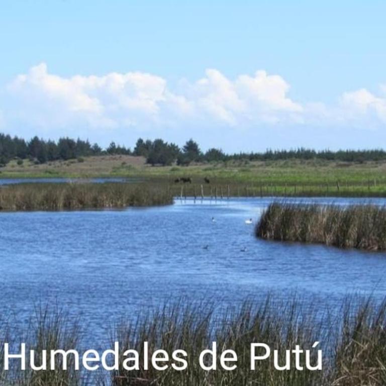 Acogedor Apartamento Constitucion - Three-Bedroom Apartment - 42