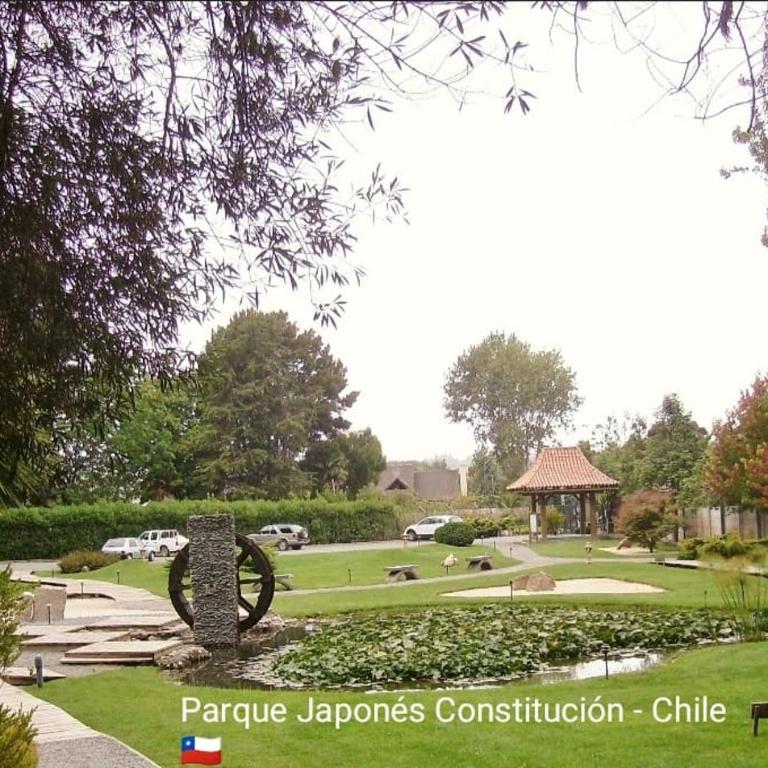 Acogedor Apartamento Constitucion - Three-Bedroom Apartment - 44