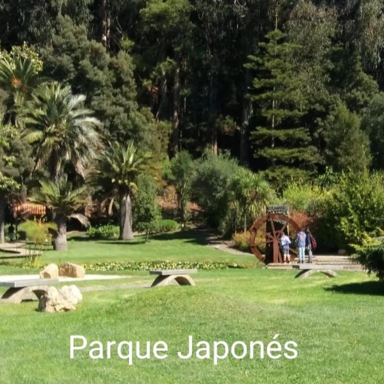 Acogedor Apartamento Constitucion - Three-Bedroom Apartment - 45
