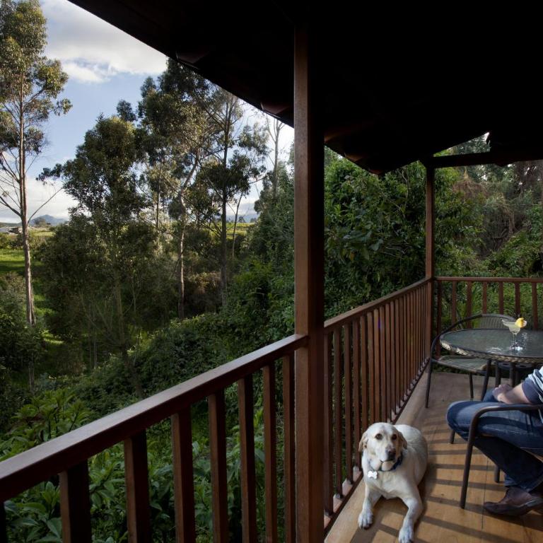 Hosteria Papagayo Cotopaxi - Bungalow Familiar - 1