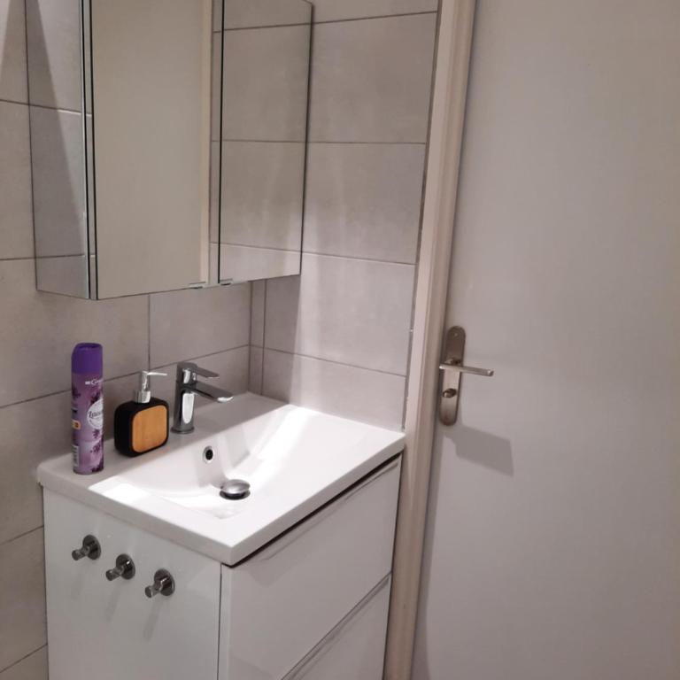 Grand T1 au calme - Dijon centre - Appartement - 7