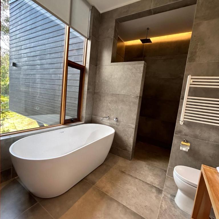 Mawün Lodge Pucon - Double Room with Private Bathroom - 4