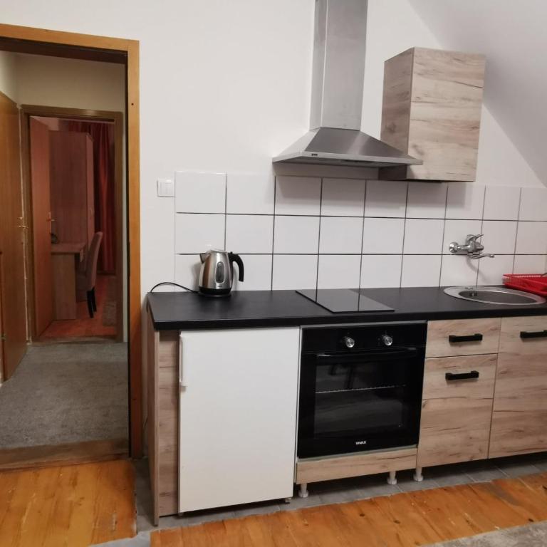 Vila Novaković X - Apartment - 11