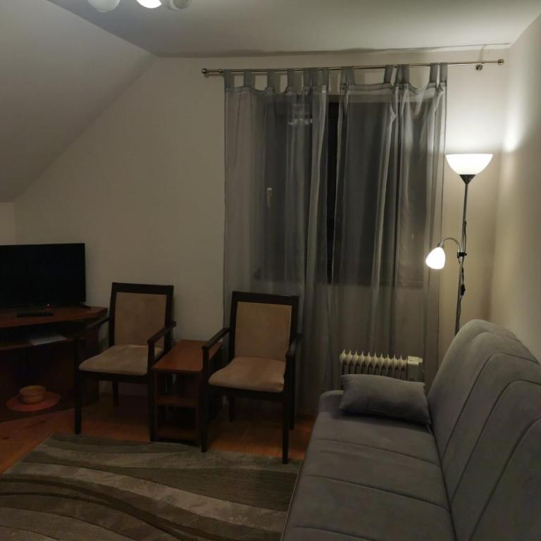 Vila Novaković X - Apartment - 15