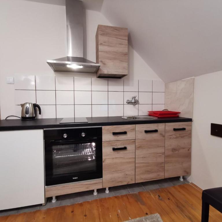 Vila Novaković X - Apartment - 3