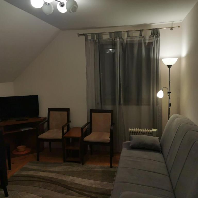 Vila Novaković X - Apartment - 20