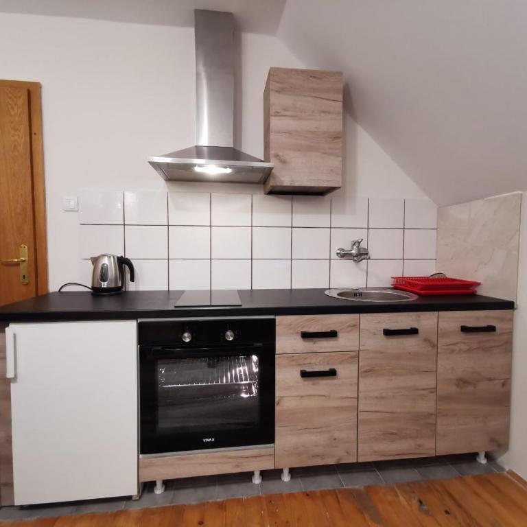 Vila Novaković X - Apartment - 23