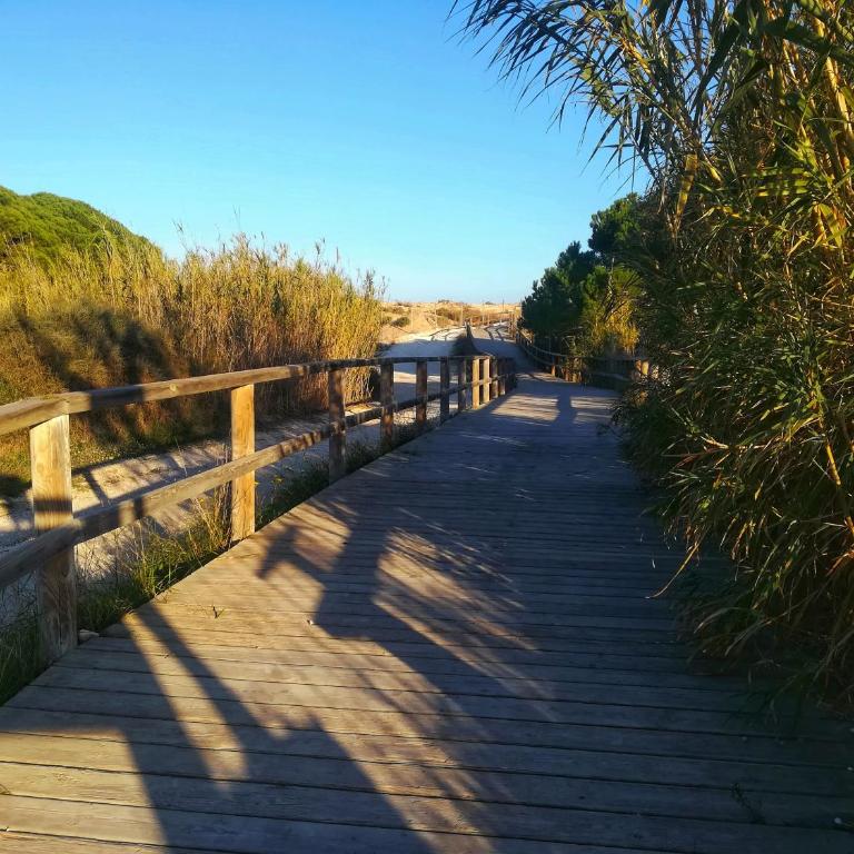 Bungalow Deluxe Gran Alacant - Two-Bedroom House - 50