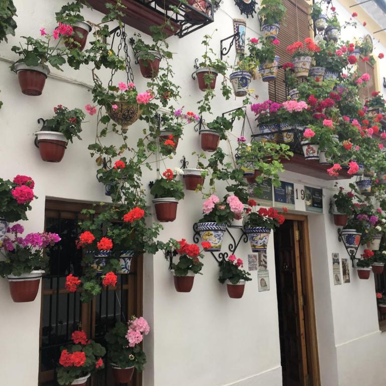 Geysotur Casa Terraza Judería - Apartamento de 3 dormitorios - 41