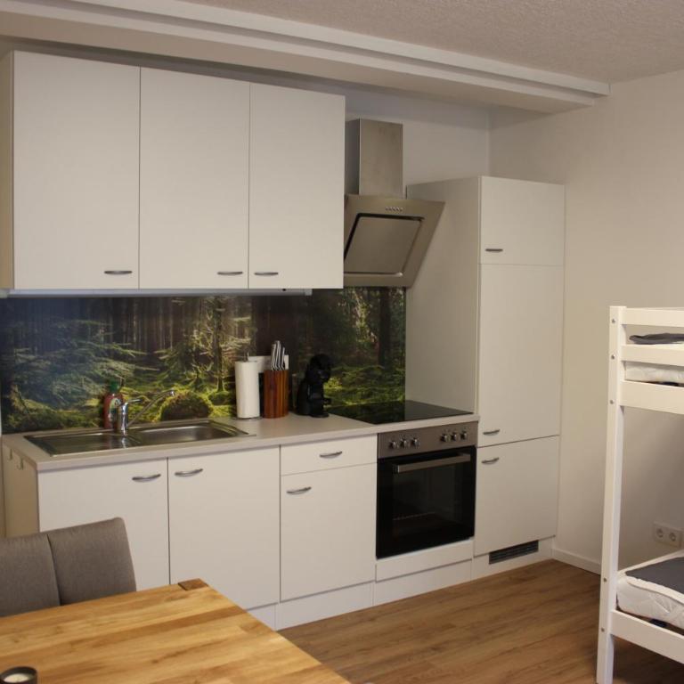 Gemütliches 4er Apartment in Skilift-Nähe - Apartment mit 1 Schlafzimmer - 3