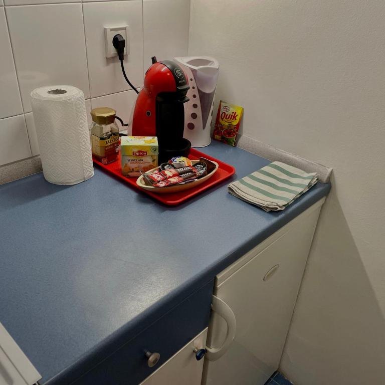 Cozy Apartment in City Centre - Apartman sa 1 Spavaćom Sobom - 9