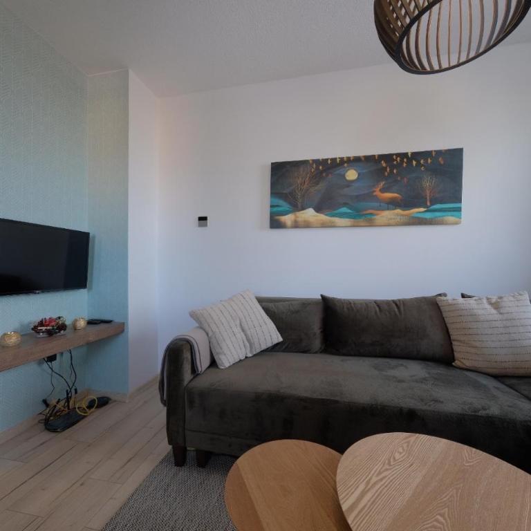 Apartman Moon Jahorina - One-Bedroom Apartment - 5
