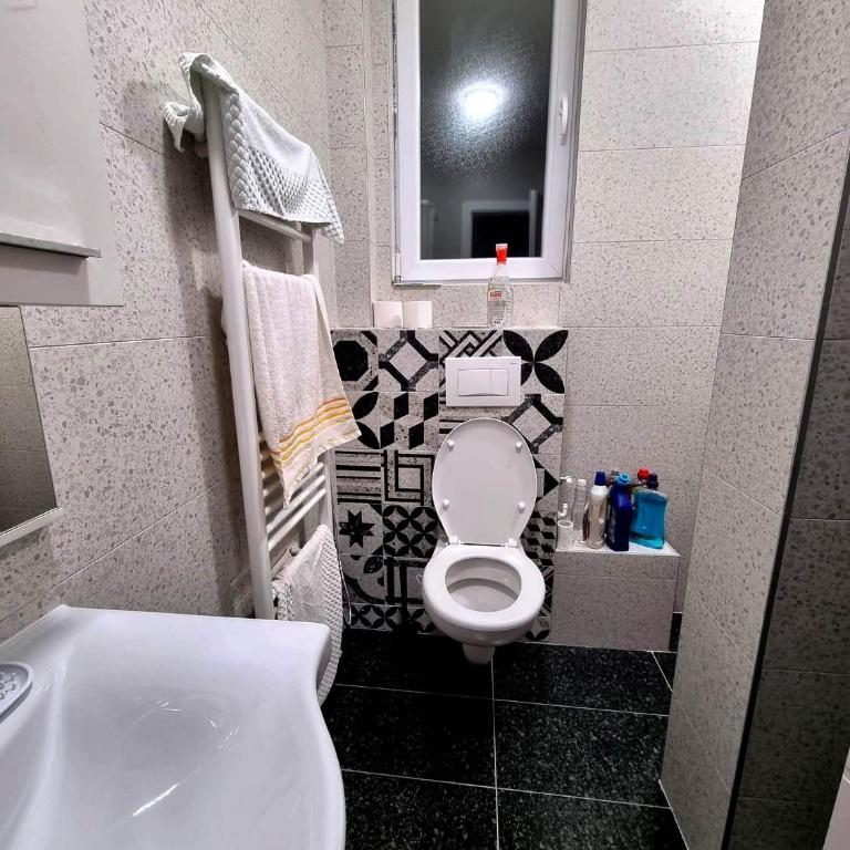 Airport Penthouse Apartments - Apartman sa 1 Spavaćom Sobom - 5