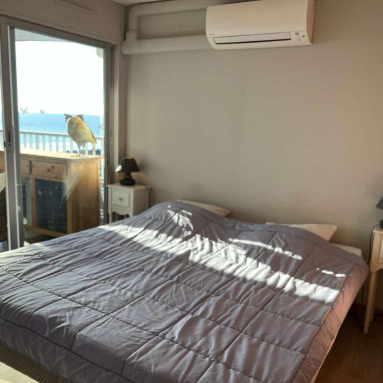Superbe T3, Clim, Parking, Proche Plage et Commerces - FR-1-702-1 - Appartement - 13