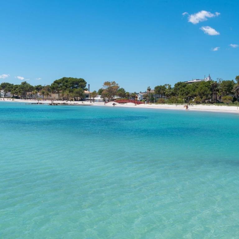 Bonito y relajante apartamento en Puerto Alcudia - Apartamento de 2 dormitorios - 28