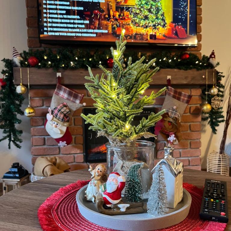 Zlatiborske Noći - Deluks Apartman - 6