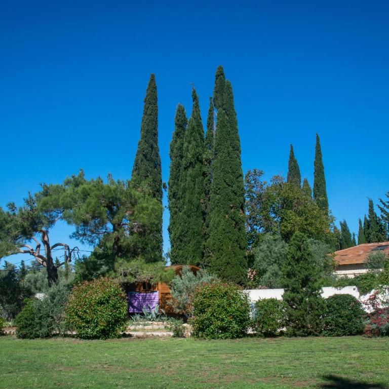 Vintage Provence - Bungalow Deluxe - Vue sur Jardin - 1