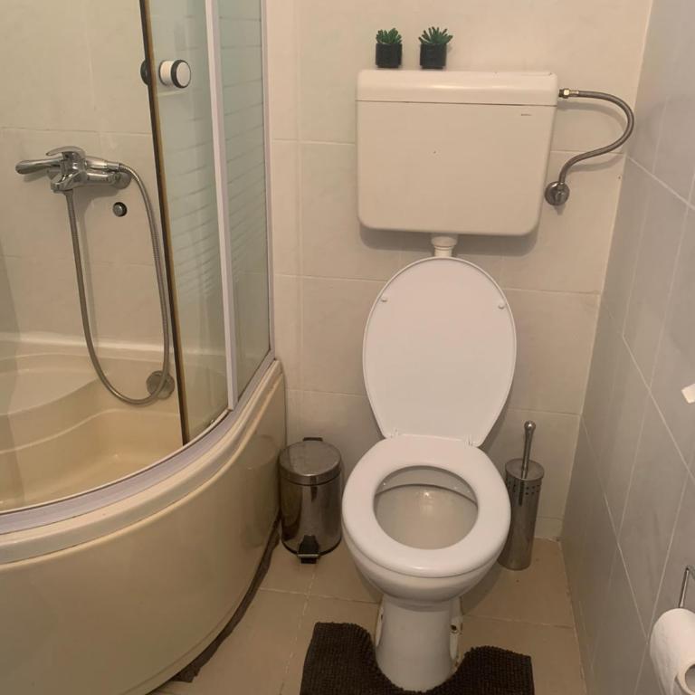 VILA MILETIĆ - Apartman sa 1 Spavaćom Sobom - 32