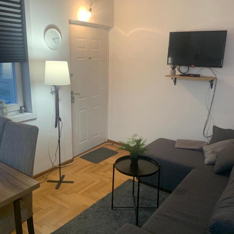 VILA MILETIĆ - Apartman sa 1 Spavaćom Sobom - 4