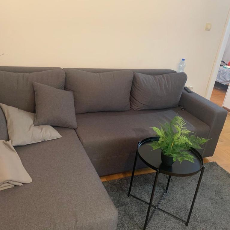 VILA MILETIĆ - Apartman sa 1 Spavaćom Sobom - 3