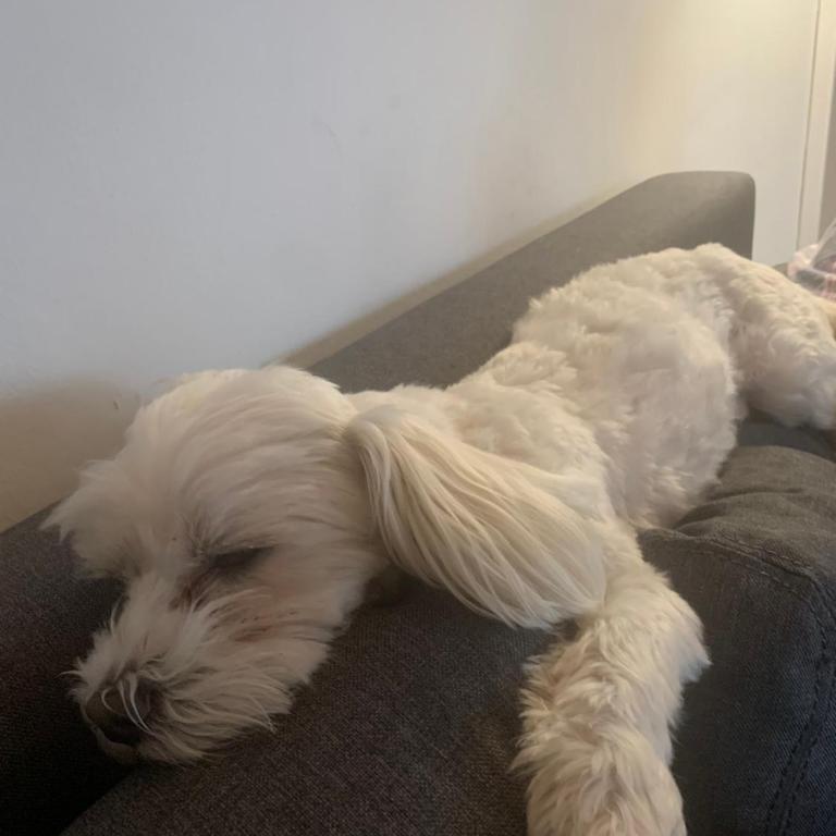 VILA MILETIĆ - Apartman sa 1 Spavaćom Sobom - 30