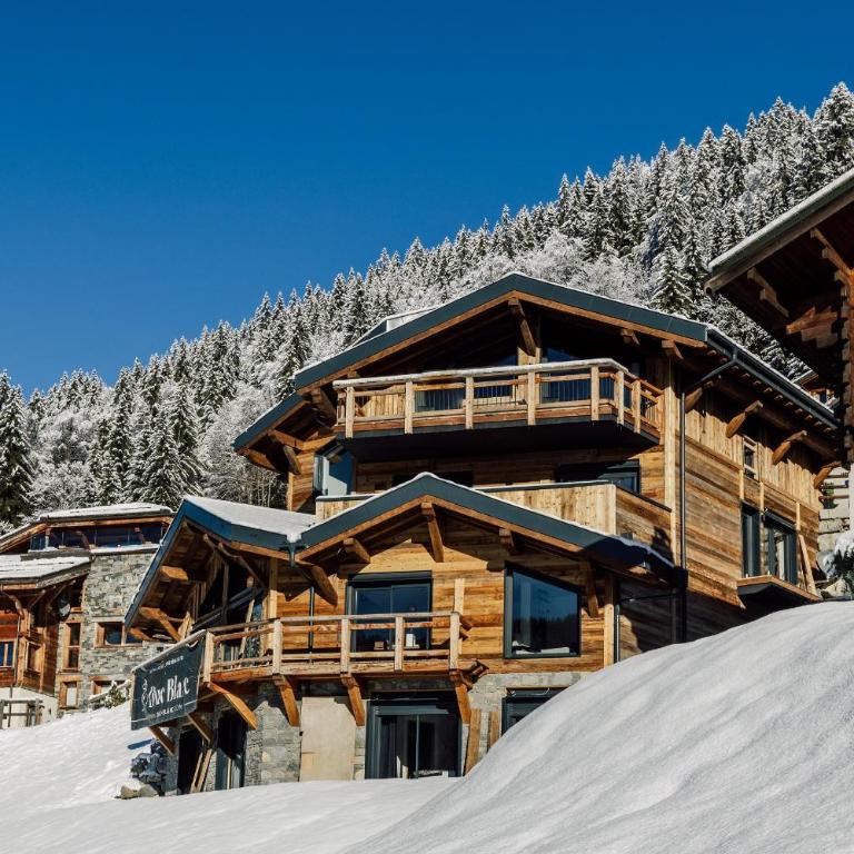 Chalet Alpaga Two - Appartement - 2