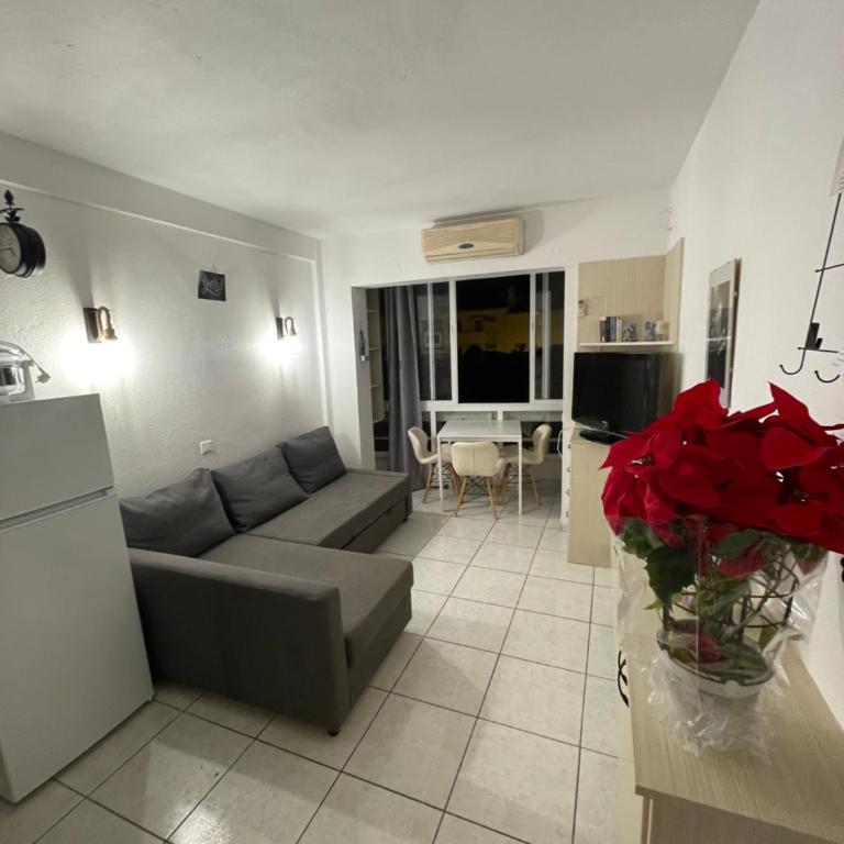 Apartamento Los Cisnes - Apartamento - 19