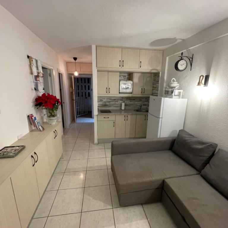 Apartamento Los Cisnes - Apartamento - 21