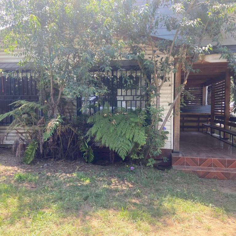Cabaña en Lican ray - Two-Bedroom House - 1