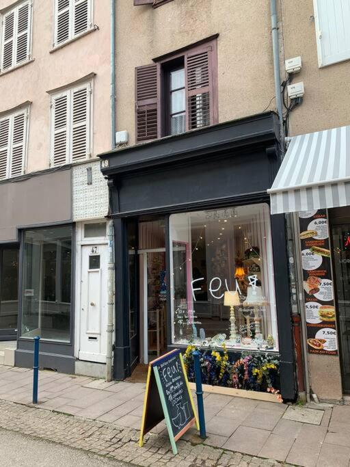 Magnifique studio - en hypercentre et rue piétonne - 1er Adrien Du Bouché - Appartement 1 Chambre - 7