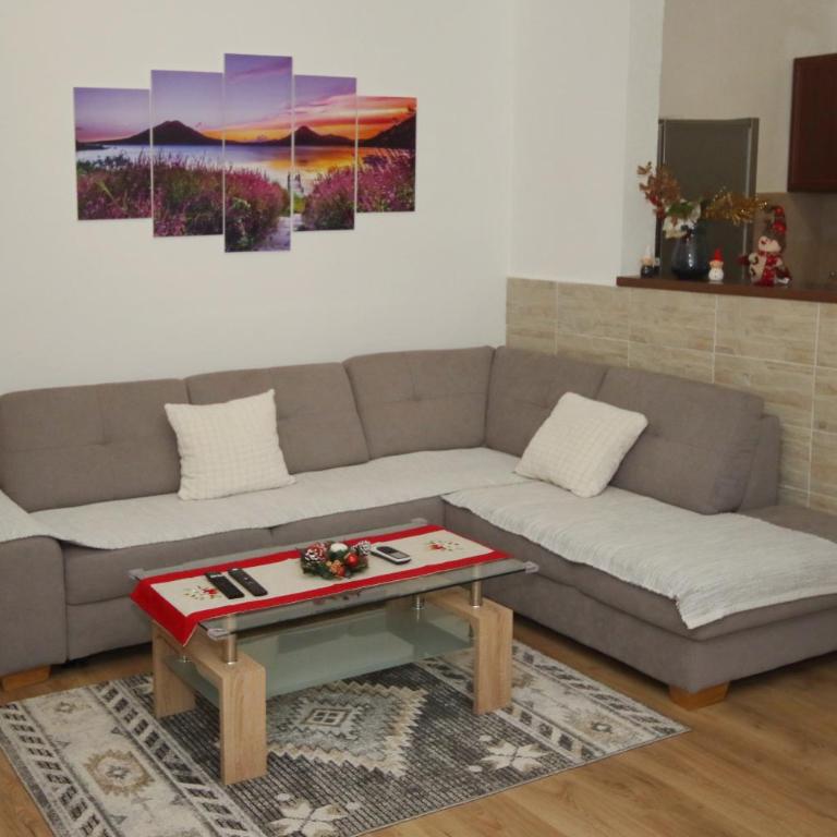 Apartman Mladen - Apartman sa 1 Spavaćom Sobom - 9